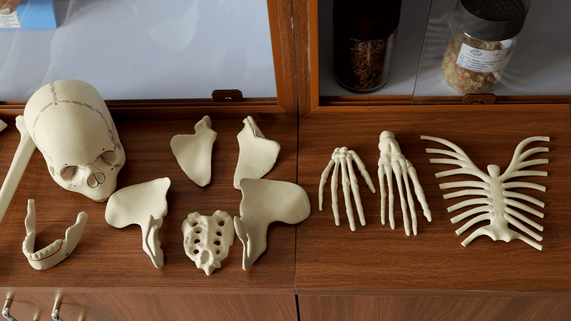 Pragjyotishpur University Guwahati Museum photo 6